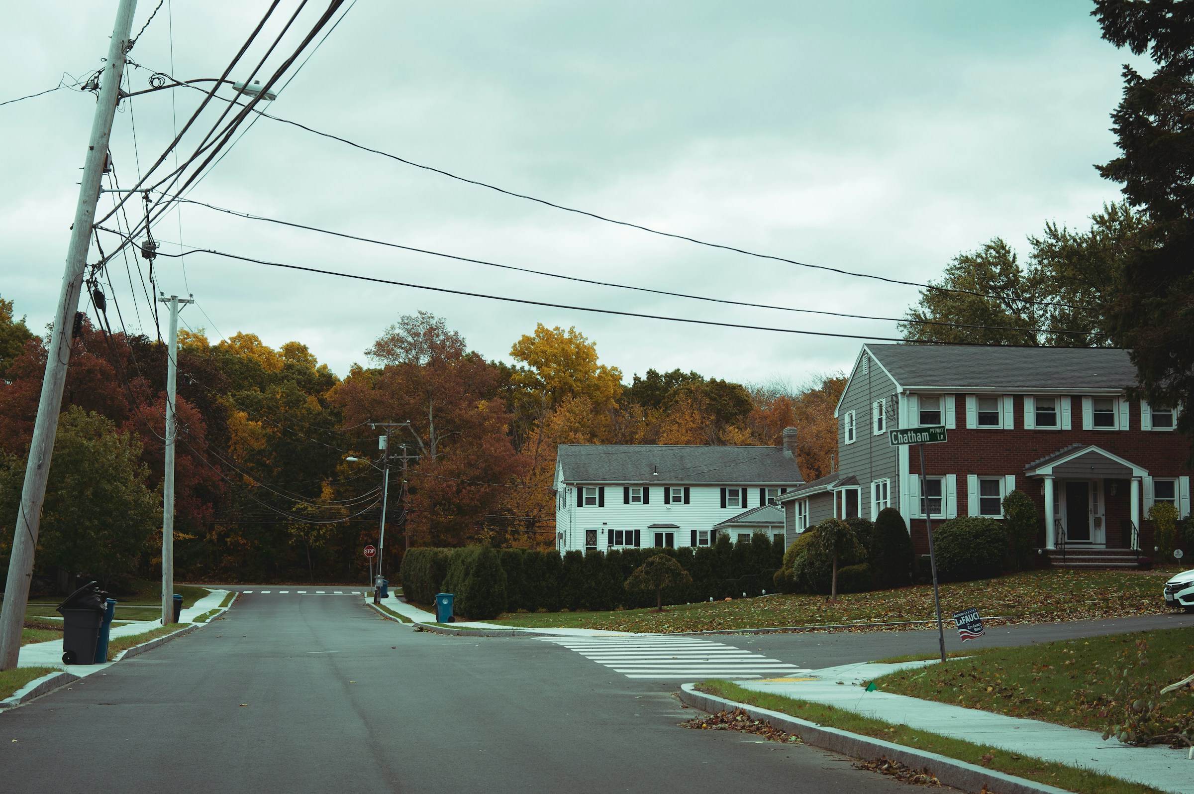 A quiet residential street in autumn, with houses behind trees and utility poles along the road.