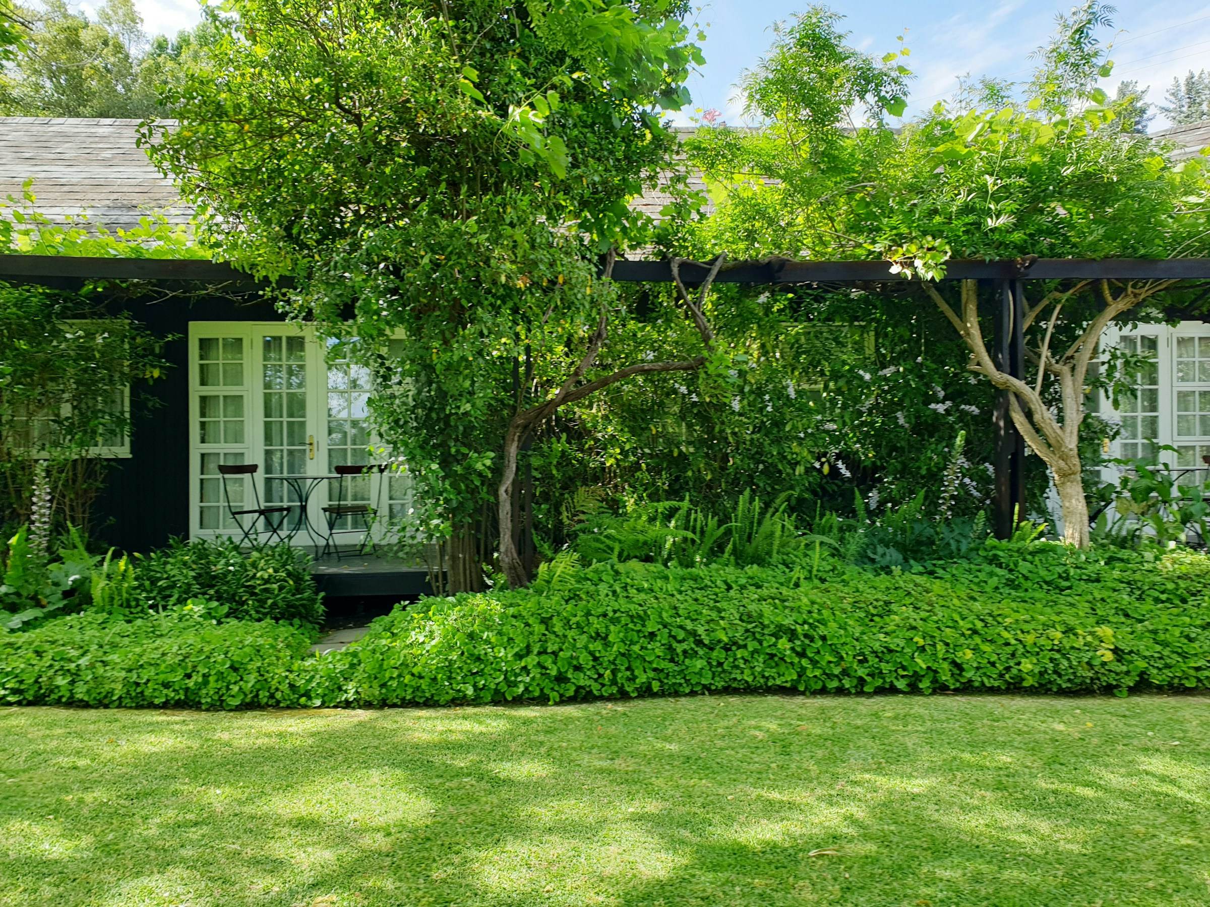 A leafy garden with a lawn and a green hedge in front of a house with glass doors.