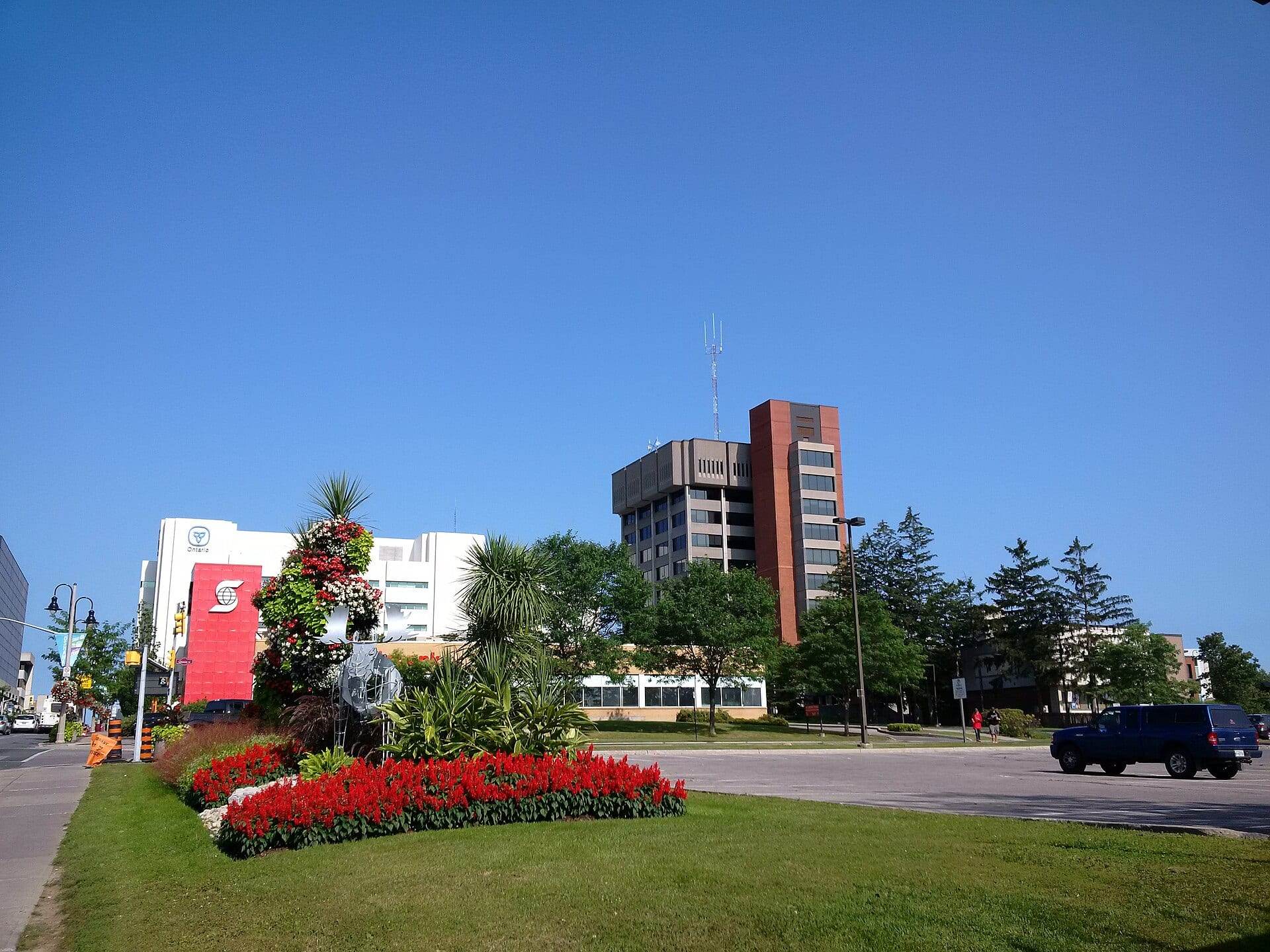 Oshawa City Hall and downtown buildings behind a bed of red flowers on a clear summer day.